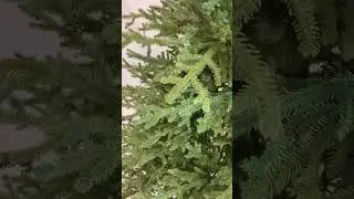 Елка литая GreenTerra™ "Вилтони" 100% РЕ