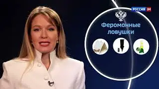 Как наука помогает сделать продукты безопаснее