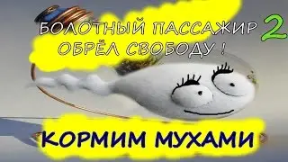Террариум для болотного пассажира 2 / ОСВОБОЖДЕНИЕ !