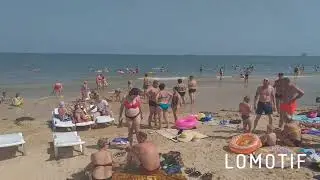 Голубицкая,  Азовское море,  пляж Кавказ , август 2021