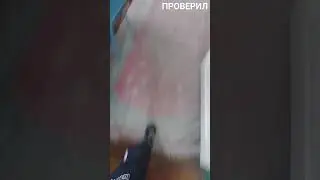 29 апреля 2024 г.