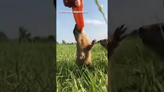 Сутки на о. Татышев 