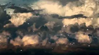 My microscopy footage from the BBC Brian Cox documentary "Wonders of Life". Episode 2.