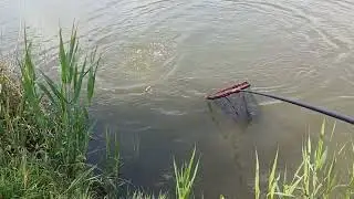 Cu un pescar la #pescuit de #crap pe Lacul Boteni 1. Capturi ... una dupa alta si eliberari la fel.