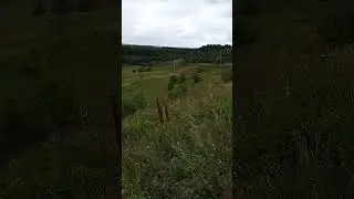 На Пекурку поднялся в деревне