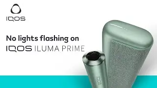Why don’t I have any flashing lights on my IQOS ILUMA Prime? | IQOS UK