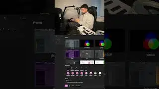 Fl studio theme settings