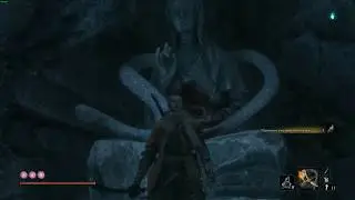 Sekiro Долина Бодхисатвы Великий Змей /   Bodhisattva Valley  Great Snake