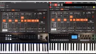 Komplete Kontrol vs Nektarine (Nektar Panorama T)