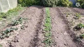 Всем привет!!! Рассказываю  новости .