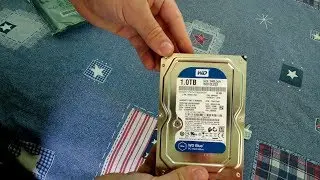 #Мояраспаковка Жесткий диск Western Digital Blue 1TB 7200rpm 64MB WD10EZEX 3.5 SATA III