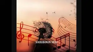 Ceyda Karasu - Sen arzu ettin bu ayrılık senden eserdir