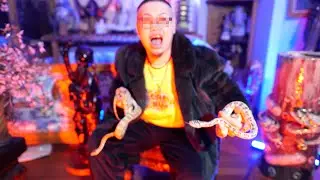 TAKABO - SUIYORU【OFFICIAL VIDEO】(字幕)