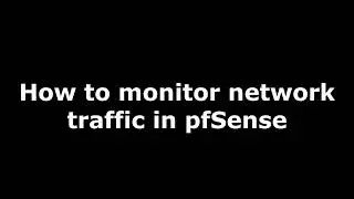 How to monitor network traffic in  pfSense Proxy