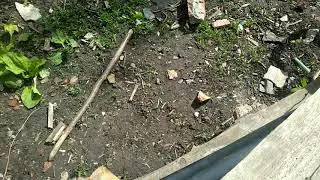 Огромная машина!!!!