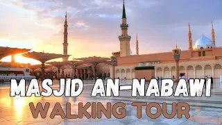 2025 Walking Tour of Masjid an-Nabawi's Courtyard, Haram Library and Rooftop With Helpful Guides