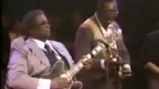 B B KING Y SUS AMIGOS