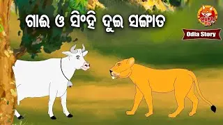 Gai Aau Singhi Dui Sangat Basile - ଗାଈ ଆଉ ସିଂହି ଦୁଇ ସଙ୍ଗାତ ବସିଲେ | Moral Story | Huke Hu TV