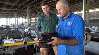 Sheep and goat eID explained - Selecting devices and moving stock on/off your PIC