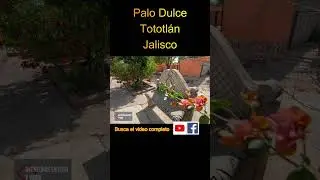 Palo Dulce, Tototlán, Jalisco