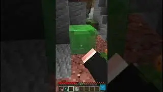 minecraft saving my dog😨😱
