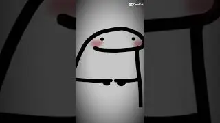 Untitled video