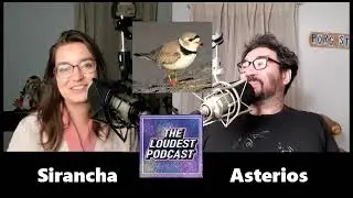 THE LOUDEST PODCAST "Shorts!": New Dumbest Bird Just Dropped