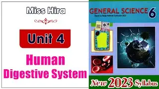 6 Science Unit 4 | Human Digestive System @educationuptoclass12​