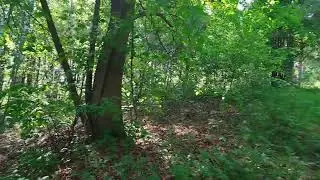 Пение Соловьёв