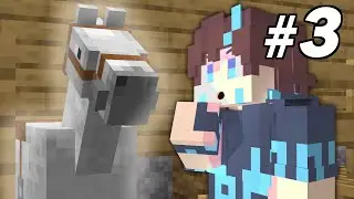 Trusty Steed | JACMW EP #3