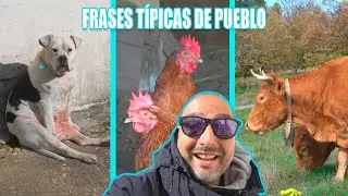 🐮 FRASES TÍPICAS DE PUEBLO 🐷 - Versión Galicia - Yo Soy Jordi
