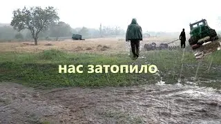 нас затопило сильный ветер с дождем повалил деревья смыл Асфальт 2022