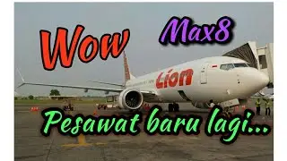 lion air-Boeing 737 MAX 8 in the Winglets The wind