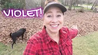 How To Manage Your Fall Leaves In Your Native Plant Landscape!