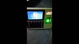 ZKTeco IFACE 990