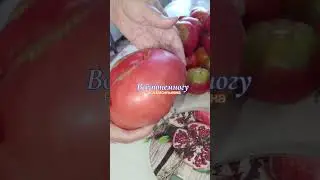 Привезла я с дачи