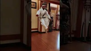 Garyu kata 