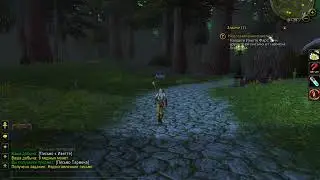 World of Warcraft  (A Letter Undelivered, Недоставленное письмо )