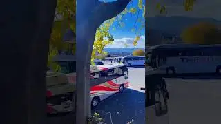 SUASANA DI JEPANG KYOTO