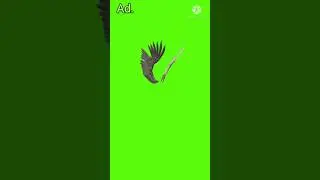 chroma key green screen free NCR green screen / green screen guru