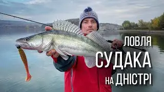 Судак розриває цю приманку. Ловля судака на Дністрі