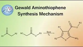 Gewald Aminothiophene Synthesis Mechanism | Organic Chemistry