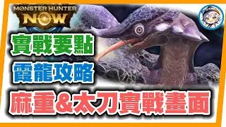 MHN 討伐霞龍配裝, 麻重&太刀實戰攻略!!MONSTER HUNTER NOW