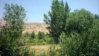 Al Zabadani Syria الزبداني