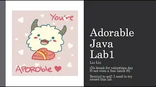 Valentine MSIA422 java lab1