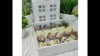 Плотная коробка для клубники в шоколаде