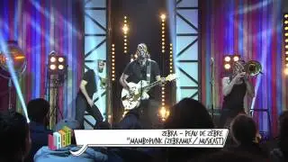 Live : Zebra - 