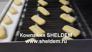 Линия по обжарке пирожков с начинкой