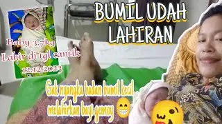BUMIL SUDAH MELAHIRKAN...