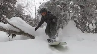 Burton Custom | Tree Run